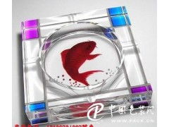 玻璃壁畫數(shù)碼印花設備的革新與應用 從平板打印機到4D寫真機